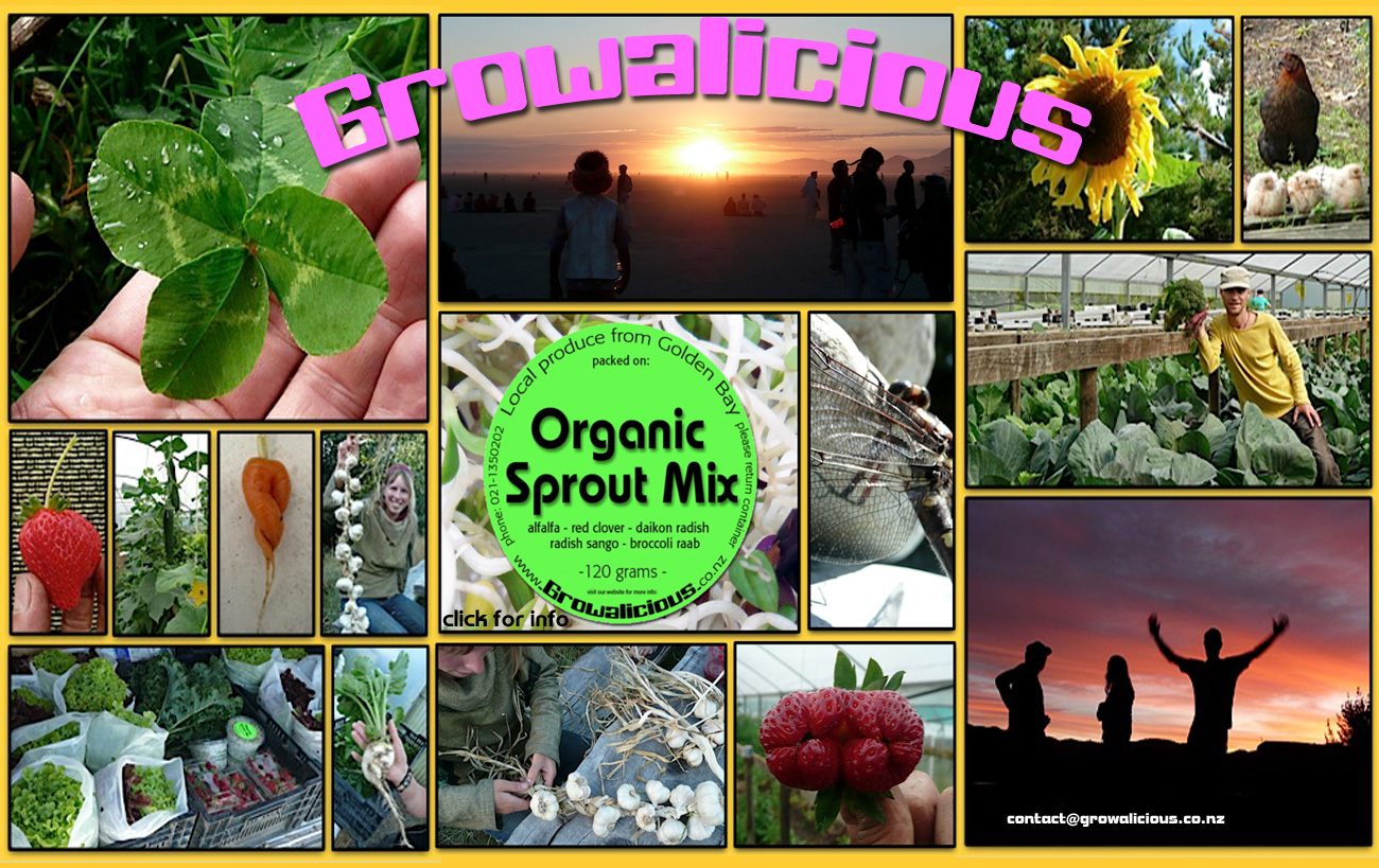 Growalicious Organics Collage